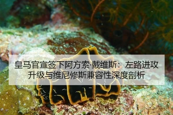 皇马官宣签下阿方索·戴维斯：左路进攻升级与维尼修斯兼容性深度剖析