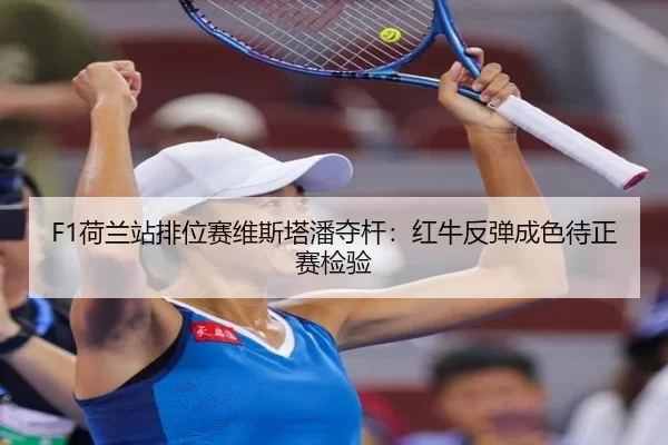 he-lan-zhan-pai-wei-sai-wei-si-ta-pan-duo-gan-hong-niu-fan-tan-cheng-se-dai-zheng-sai-jian-yan-2-941.jpg