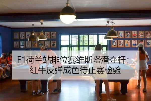 he-lan-zhan-pai-wei-sai-wei-si-ta-pan-duo-gan-hong-niu-fan-tan-cheng-se-dai-zheng-sai-jian-yan-1-612.jpg